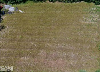 Agricultural land strada Cesani Granero, 28, Bricherasio - photo 8