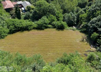 Agricultural land strada Cesani Granero, 28, Bricherasio - photo 1
