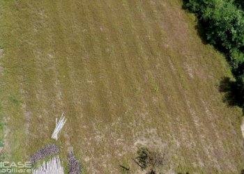 Agricultural land strada Cesani Granero, 28, Bricherasio - photo 22