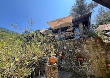 Agriturismo Perinaldo - foto 6