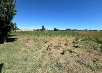 Casa indipendente Santarcangelo di Romagna - foto 4