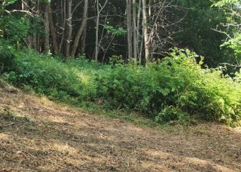 Rustic Borgata Ruetto, 17, Oncino - photo 14