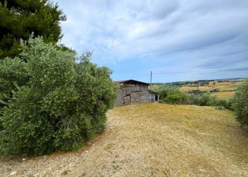 Foto 6 - Rustico Via Adriatica
 
snc, Fermo - foto 6