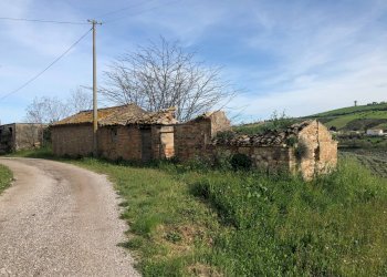 Foto 7 - Stable - Palace Loc. Grasciano Via Belvedere
4, Notaresco - photo 7