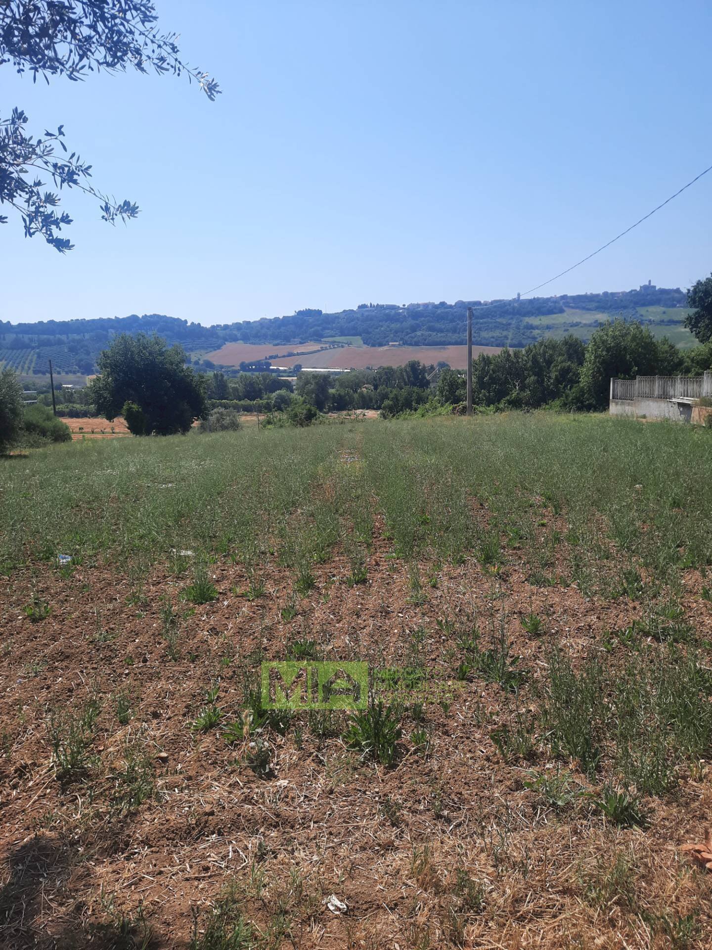 Foto 1 - Terreno agricolo via  Valdaso, Altidona - foto 1