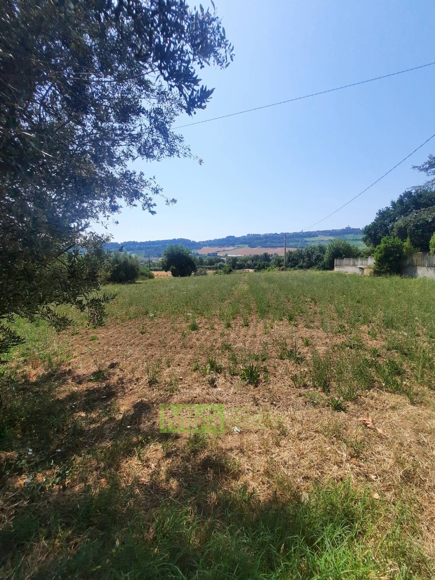 Foto 2 - Terreno agricolo via  Valdaso, Altidona - foto 2