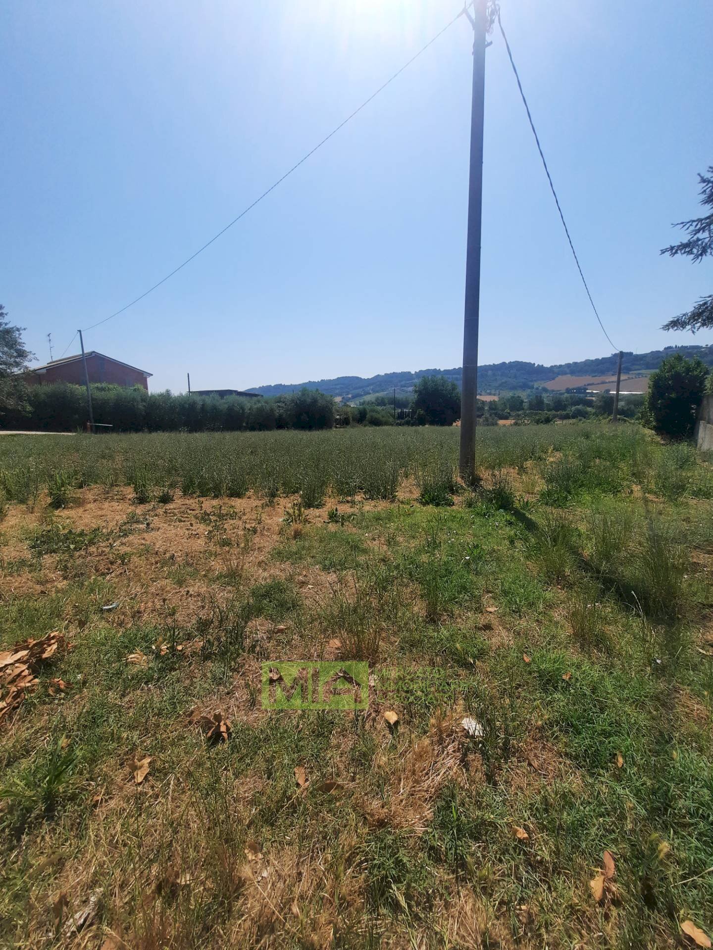 Foto 3 - Terreno agricolo via  Valdaso, Altidona - foto 3