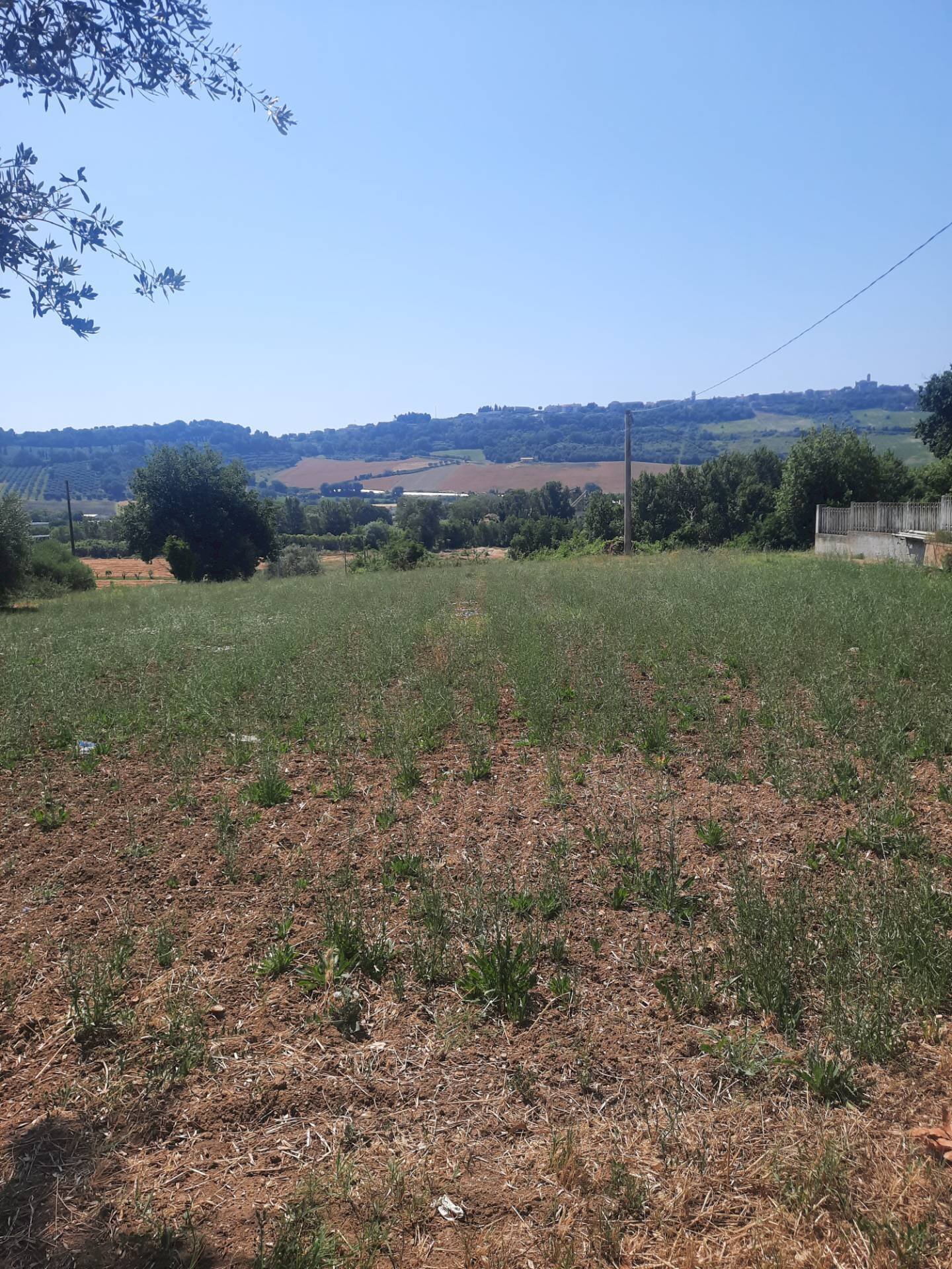 Foto 1 - Terreno agricolo via  Valdaso, Altidona - foto 1