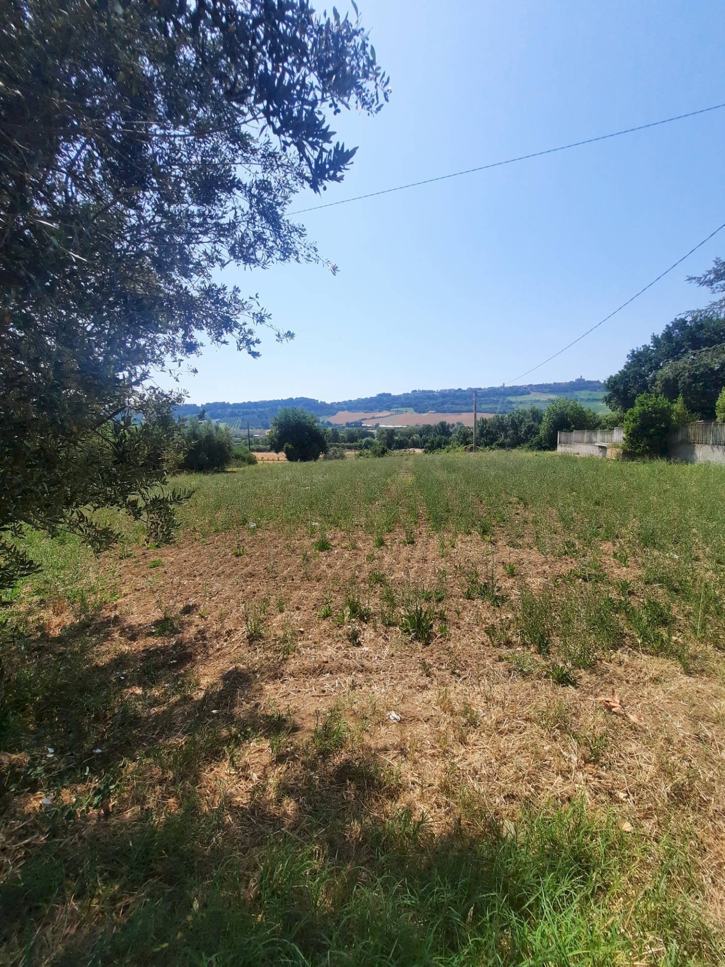 Foto 2 - Terreno agricolo via Valdaso, Altidona - foto 2