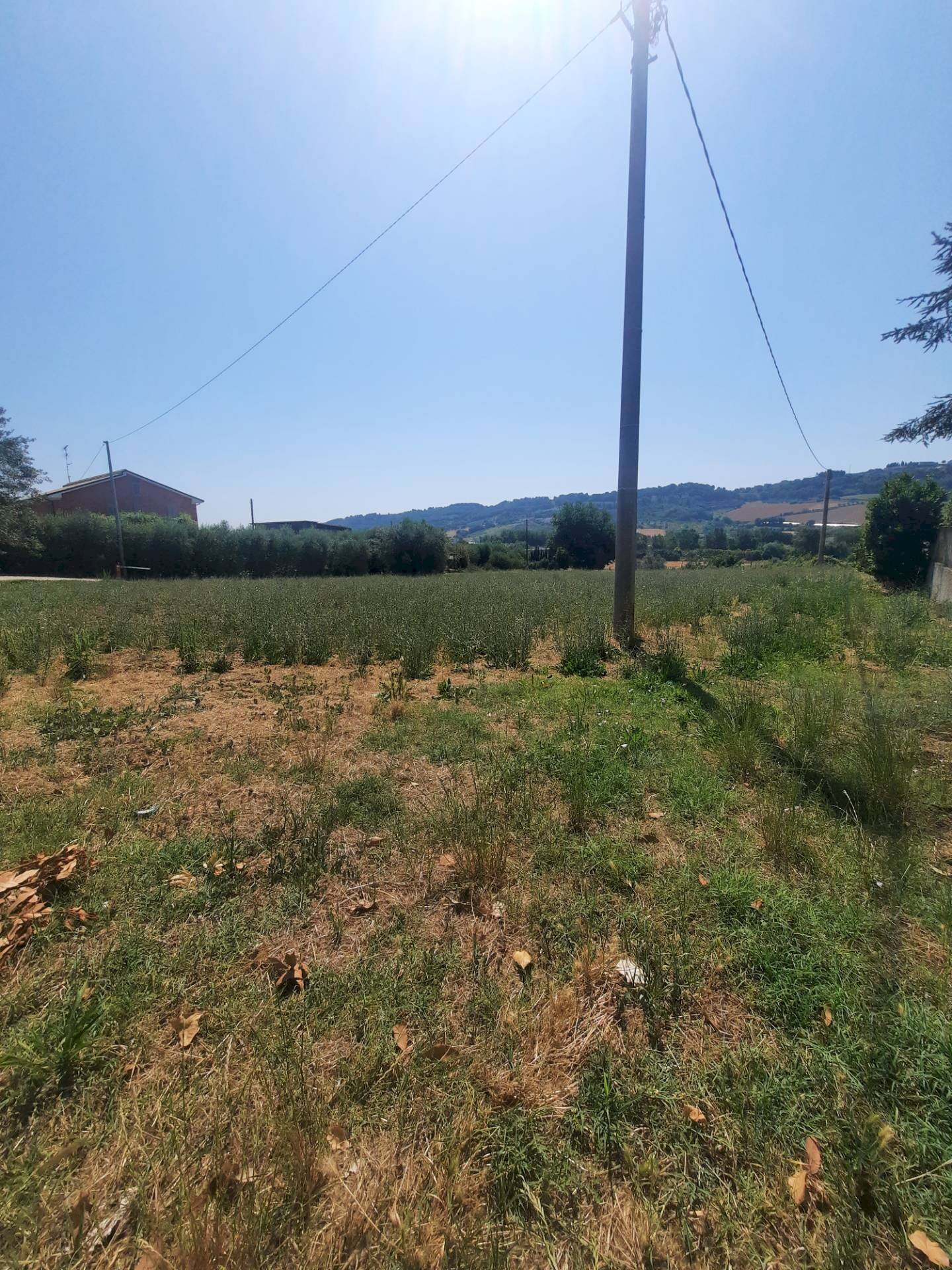 Foto 3 - Terreno agricolo via Valdaso, Altidona - foto 3