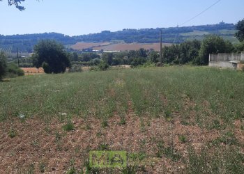 Foto 1 - Terreno agricolo via Valdaso, Altidona - foto 1