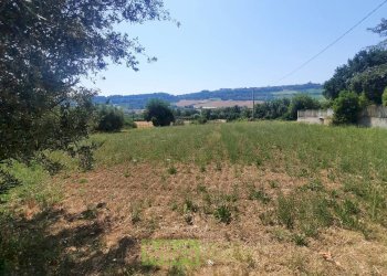 Foto 2 - Terreno agricolo via Valdaso, Altidona - foto 2