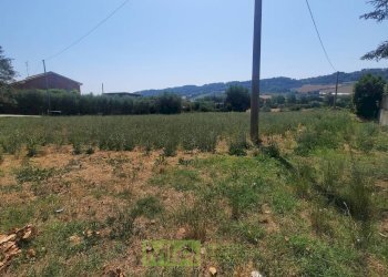 Foto 3 - Terreno agricolo via Valdaso, Altidona - foto 3
