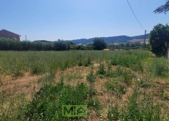 Foto 4 - Terreno agricolo via Valdaso, Altidona - foto 4