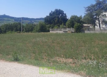 Foto 5 - Terreno agricolo via Valdaso, Altidona - foto 5