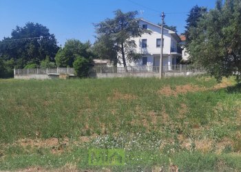 Foto 6 - Terreno agricolo via Valdaso, Altidona - foto 6