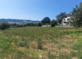 Foto 7 - Terreno agricolo via Valdaso, Altidona - foto 7