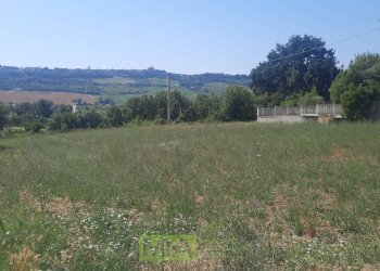 Foto 8 - Terreno agricolo via Valdaso, Altidona - foto 8