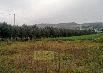 Foto 13 - Terreno agricolo via Valdaso, Altidona - foto 13