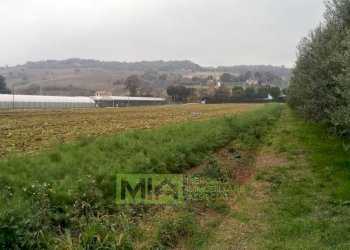 Foto 14 - Terreno agricolo via Valdaso, Altidona - foto 14