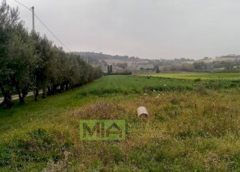 Foto 15 - Terreno agricolo via Valdaso, Altidona - foto 15