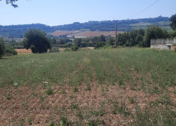 Foto 1 - Agricultural land via  Valdaso, Altidona - photo 1