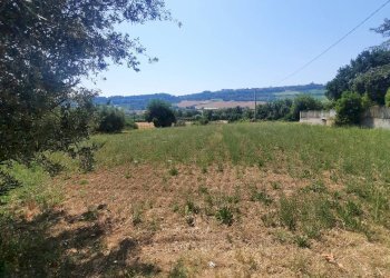 Foto 2 - Agricultural land via  Valdaso, Altidona - photo 2