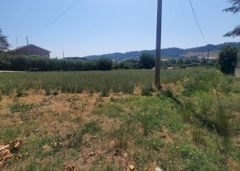 Foto 3 - Agricultural land via  Valdaso, Altidona - photo 3