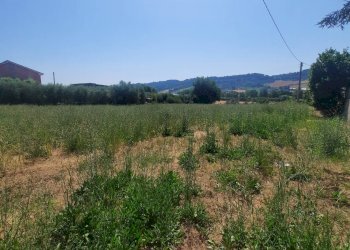 Foto 4 - Agricultural land via  Valdaso, Altidona - photo 4