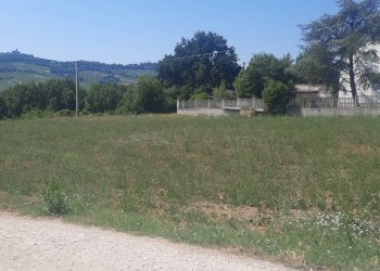 Foto 5 - Agricultural land via  Valdaso, Altidona - photo 5