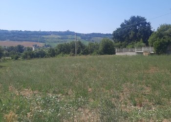 Foto 8 - Agricultural land via  Valdaso, Altidona - photo 8