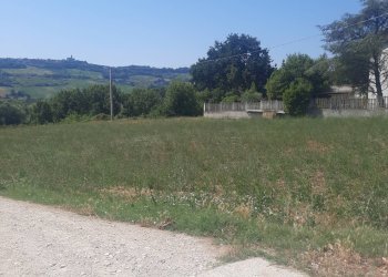 Foto 9 - Agricultural land via  Valdaso, Altidona - photo 9