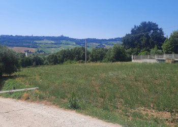 Foto 10 - Agricultural land via  Valdaso, Altidona - photo 10