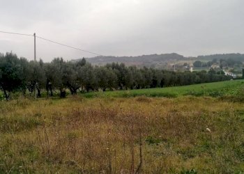 Foto 13 - Agricultural land via  Valdaso, Altidona - photo 13