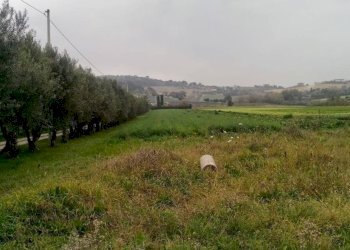 Foto 15 - Agricultural land via  Valdaso, Altidona - photo 15
