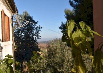 Foto 14 - Hotel Contrada Pianacciole, Ripatransone - foto 14