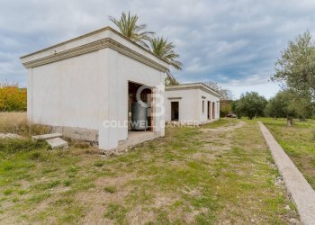 Foto 27 - Villa Contrada Vassallo
 
Sn, Bari - photo 27