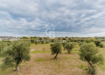 Foto 29 - Villa Contrada Vassallo
 
Sn, Bari - photo 29