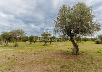 Foto 30 - Villa Contrada Vassallo
 
Sn, Bari - photo 30