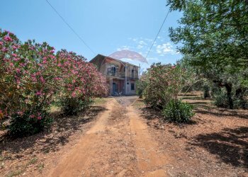Casa all\'aperto - Villa Contrada Piano Stella
 
snc, Caltagirone - foto 18