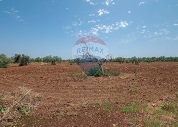 Non correlato - Villa Contrada Piano Stella
 
snc, Caltagirone - foto 24
