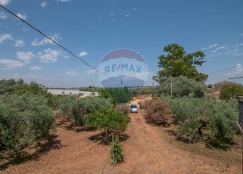 Giardino - Villa Contrada Piano Stella
 
snc, Caltagirone - foto 41