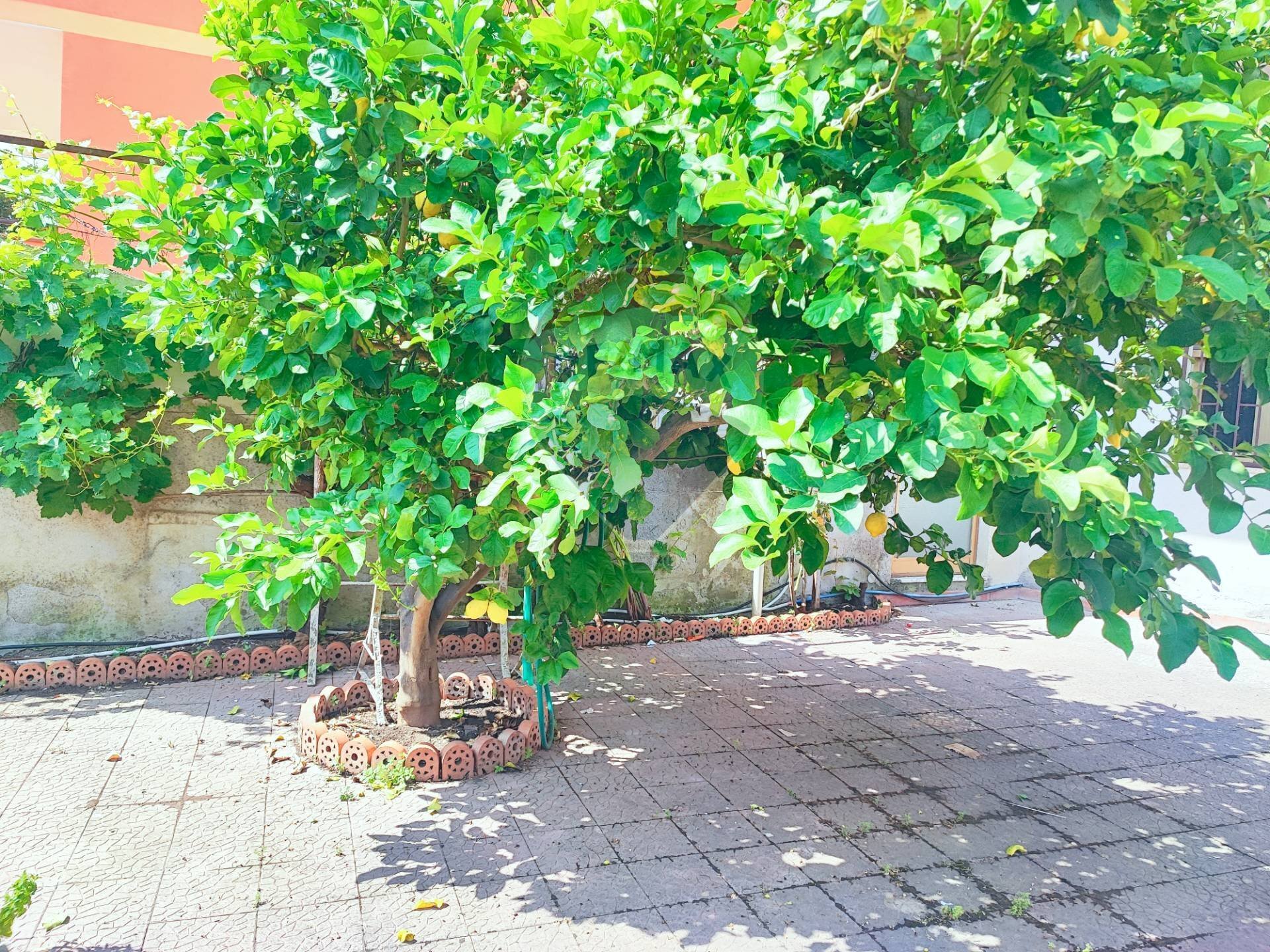 Giardino - Locale Commerciale VIA DIETRO MANGANELLI
 
7, Moio Alcantara - foto 3