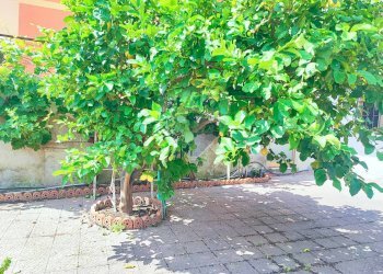 Giardino - Locale Commerciale VIA DIETRO MANGANELLI
 
7, Moio Alcantara - foto 3