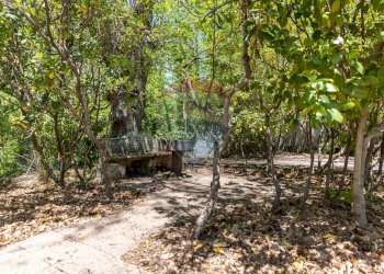 Giardino - Villa contrada Luppineria, Castelmola - foto 8