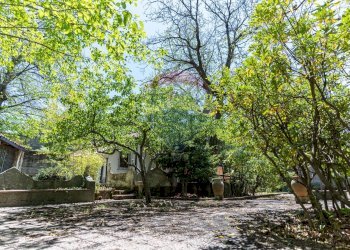 Giardino - Villa contrada Luppineria, Castelmola - foto 42