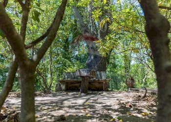 Giardino - Villa contrada Luppineria, Castelmola - foto 43