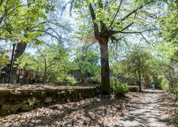 Giardino - Villa contrada Luppineria, Castelmola - foto 44