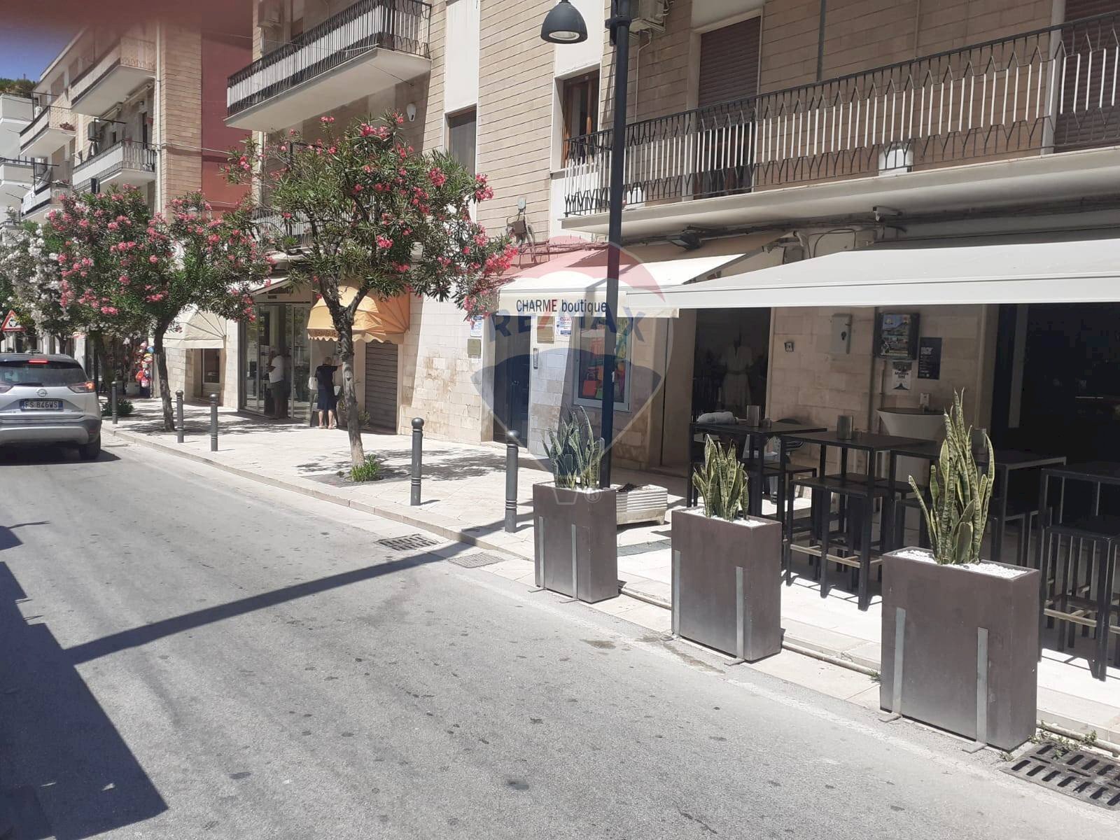 esterno - Locale Commerciale Viale XXIV Maggio
 
56, Vieste - foto 2