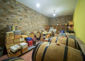 Foto 68 - Rustico Certaldo - foto 68